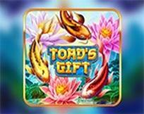 Toad`s Gift